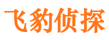 武安市婚姻出轨调查